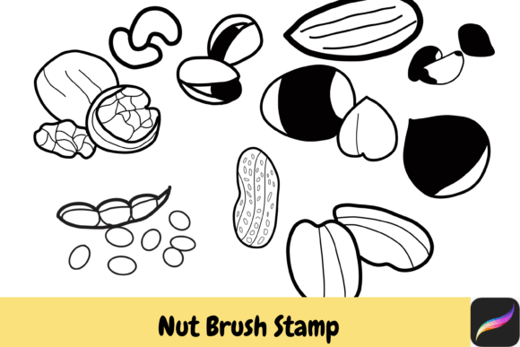 Bring Nature to Your iPad: Nut Grain Procreate Brush Stamps