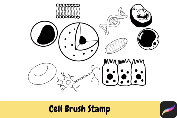 Cell Biology Brush Stamps Procreate IPAD: A Creative Toolkit