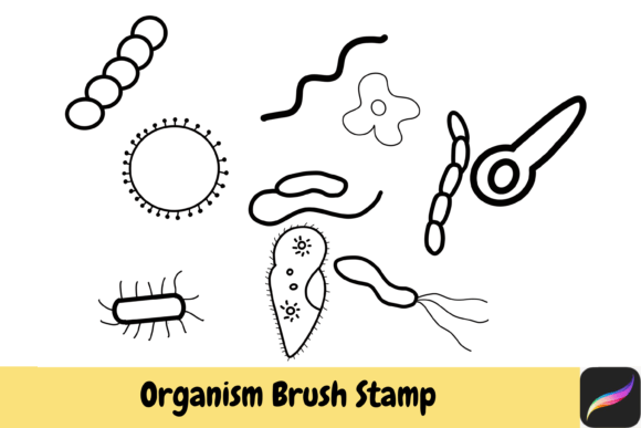 Organism Biology Brush Stamps Procreate: Your Creative Toolkit