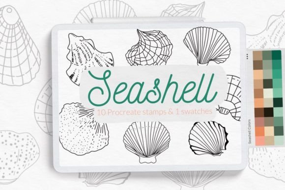 Seashell Stamps for Procreate: A Practical Guide for Digital Artists